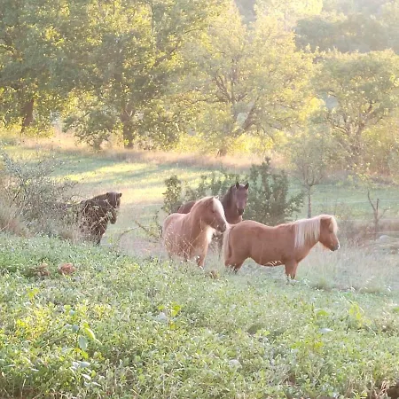 Holiday home Domaine De Pelipa - Mas 5 Etoiles En Pleine Nature - 8