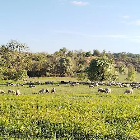 Domaine De Pelipa - Mas 5 Etoiles En Pleine Nature - 8 Holiday home